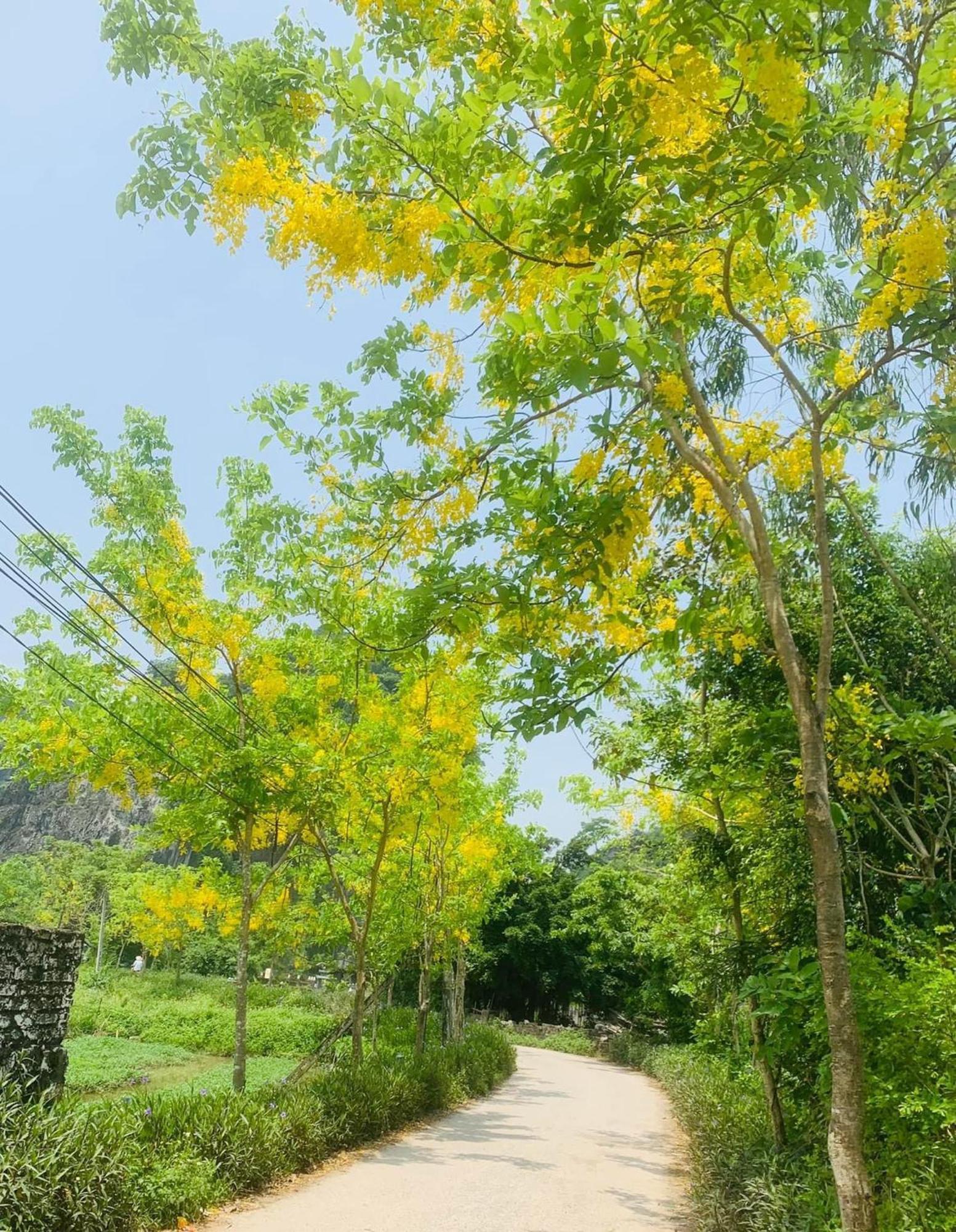 Vu Lam Tam Coc Min House酒店 外观 照片